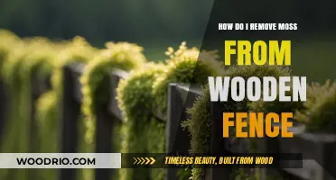 Effective Ways to Remove Moss from Your Wooden Fence