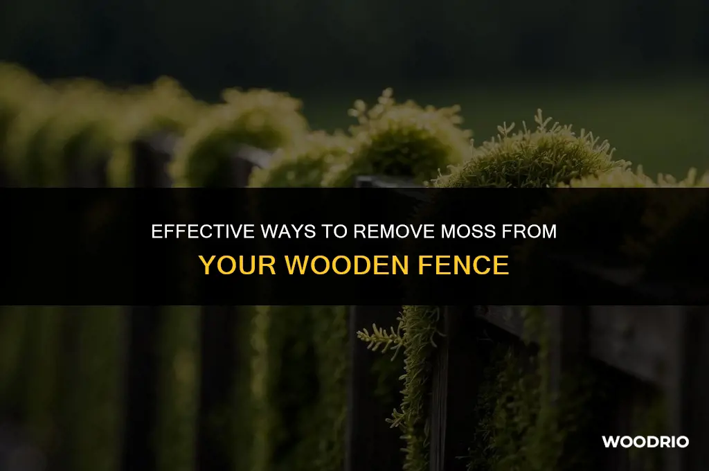 how do i remove moss from wooden fence