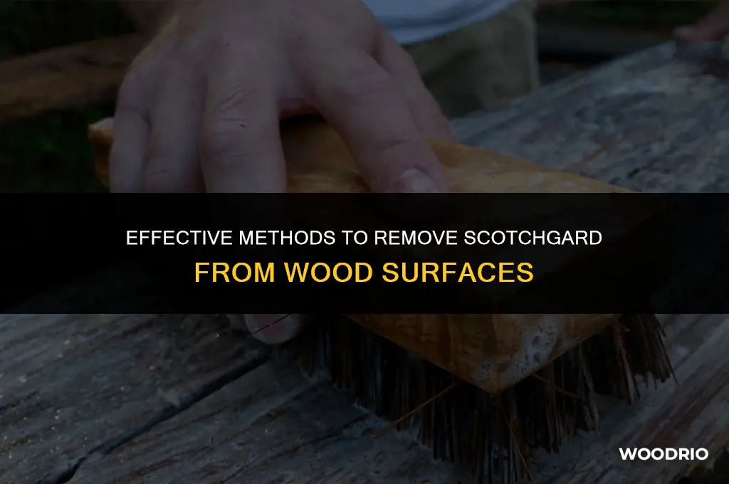 how do i remove scotchgard from wood