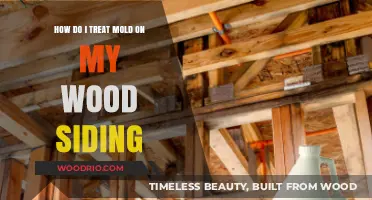 Effective Solutions for Treating Mold on Wood Siding