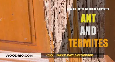 Effective Wood Treatment Strategies Against Carpenter Ants and Termites
