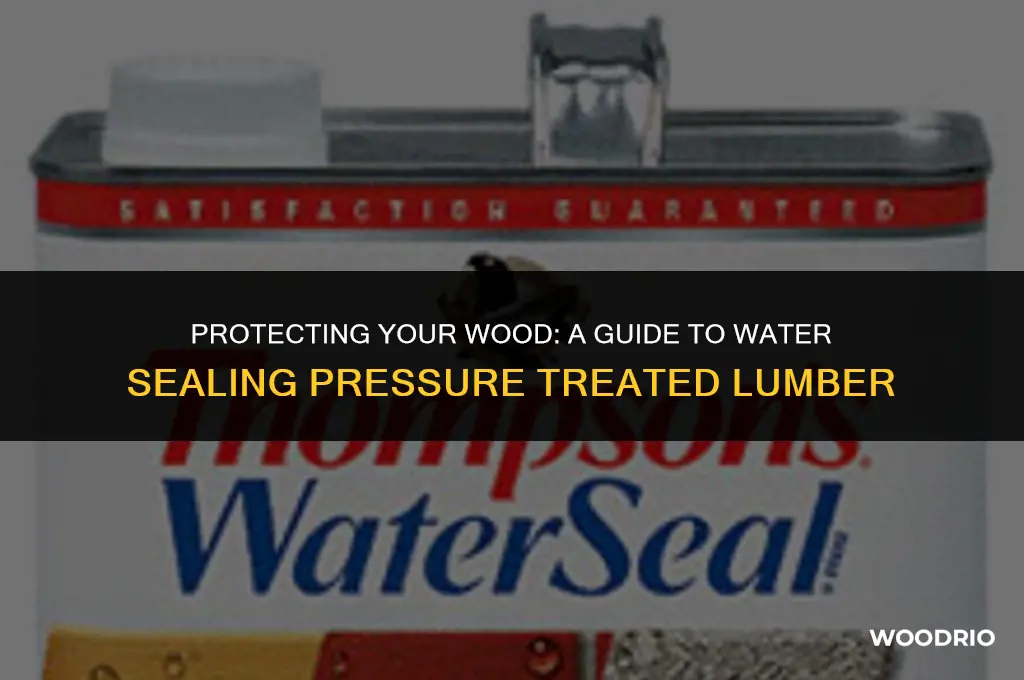 how do i water seal pressure treated wood
