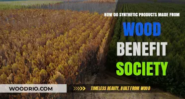 Sustainable Innovation: The Societal Benefits of Wood-Derived Synthetic Products