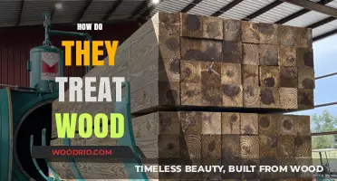 Unveiling the Art of Wood Treatment: A Comprehensive Guide