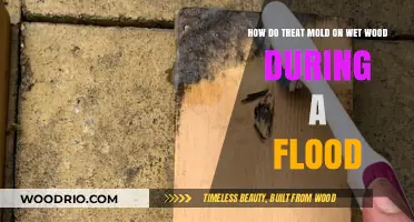 Treating Mold on Wet Wood During a Flood: A Comprehensive Guide