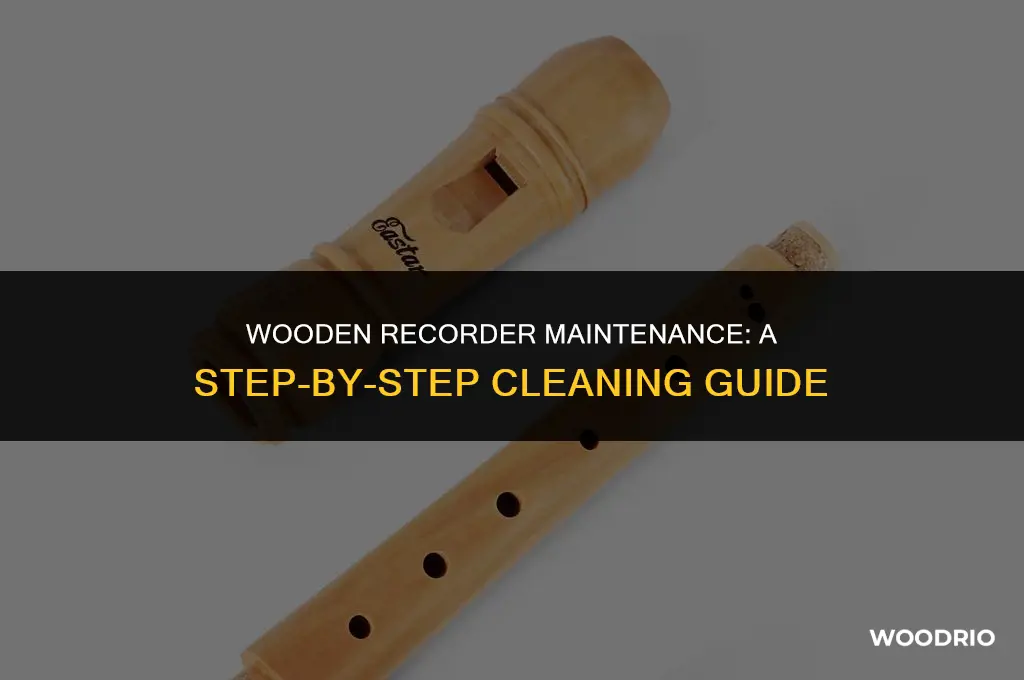 how do you clean a wooden recorder