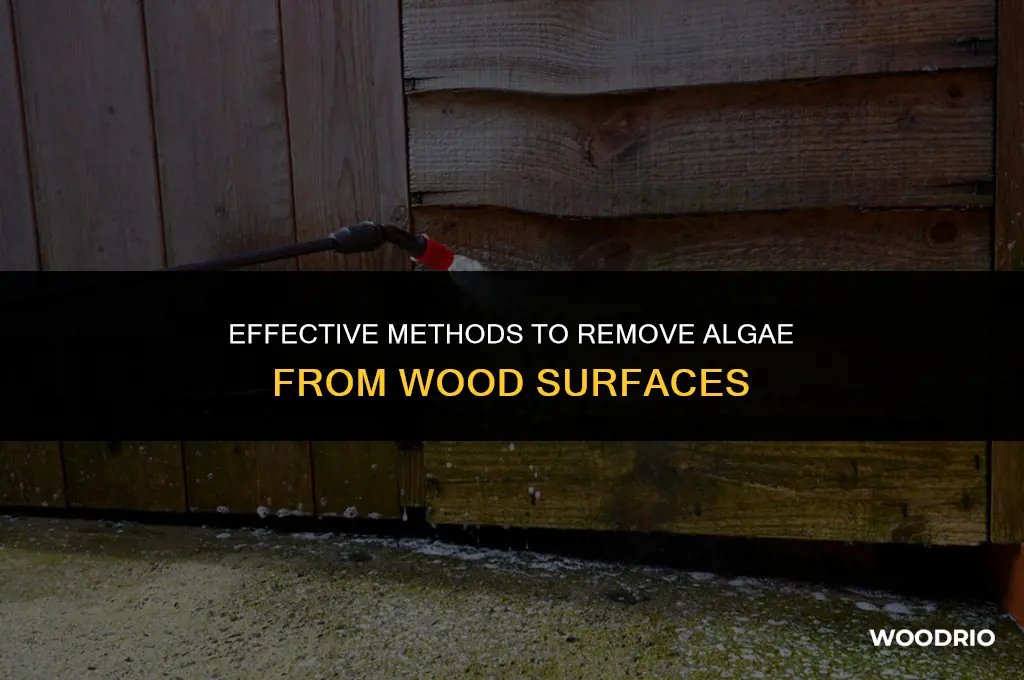 how do you clean algae from wood