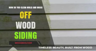 Effective Methods to Remove Mold and Moss from Wood Siding