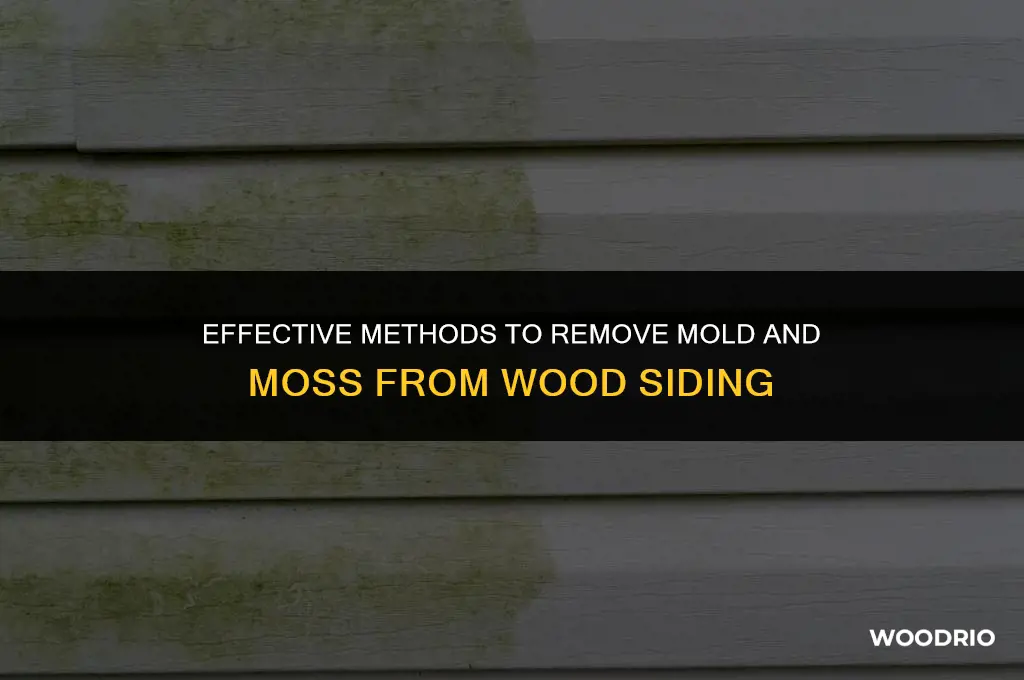 how do you clean mold and moss off wood siding