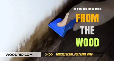 Effective Methods to Remove Mold from Wood Surfaces