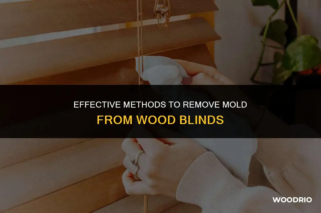 how do you clean mold from wood blinds