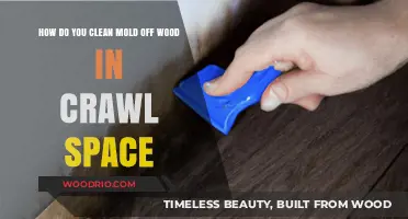 Effective Methods to Remove Mold from Wood in Crawl Spaces