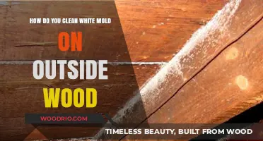 Effective Ways to Remove White Mold from Outdoor Wood Surfaces
