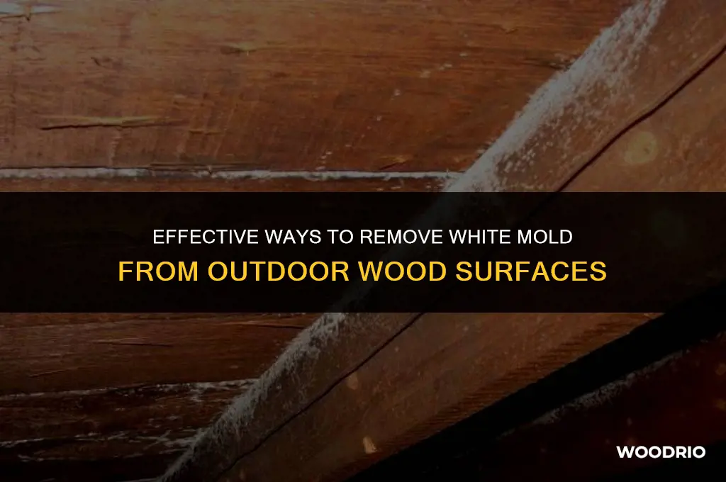 how do you clean white mold on outside wood