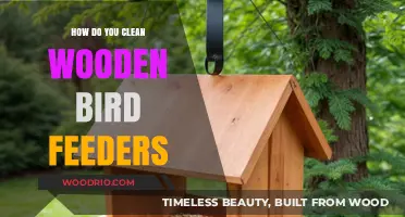 Essential Tips for Cleaning Wooden Bird Feeders