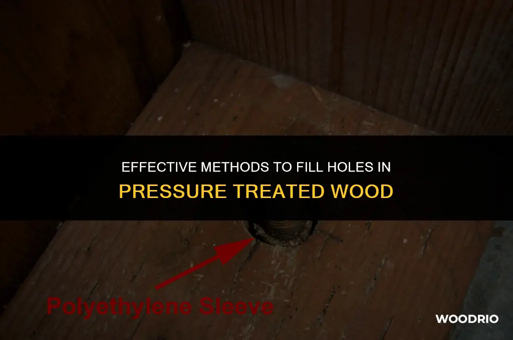 how do you fill holes in pressure treated wood