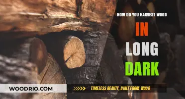 Mastering Wood Harvesting in The Long Dark: Essential Tips and Techniques