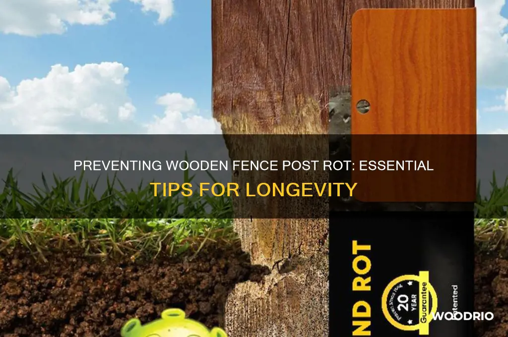 how do you keep wooden fence posts from rotting