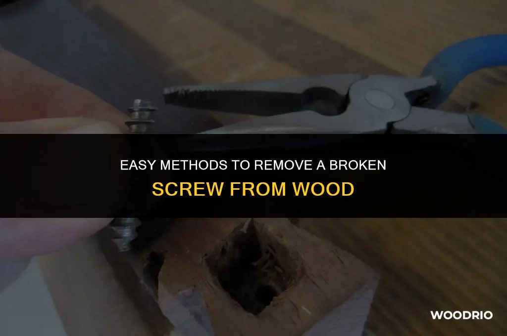 how do you remove a broken screw from wood