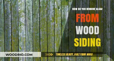 Effective Algae Removal Techniques for Wood Siding Maintenance