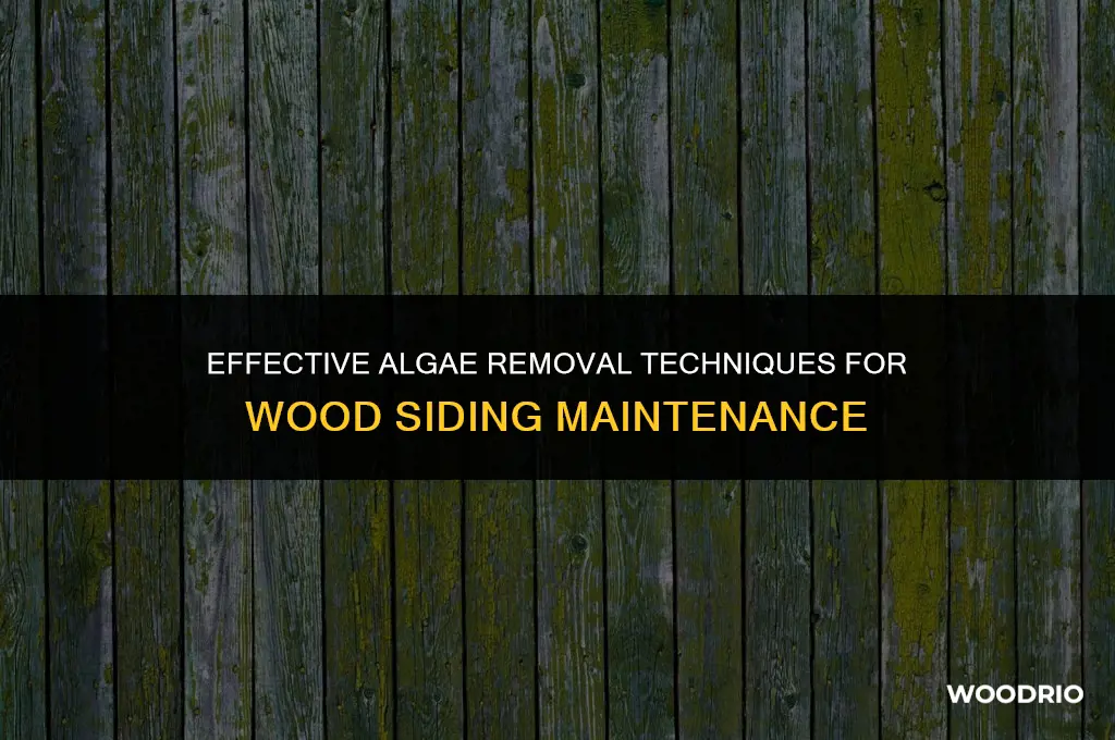 how do you remove algae from wood siding