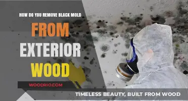 Effective Methods to Eliminate Black Mold from Exterior Wood Surfaces