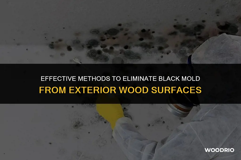 how do you remove black mold from exterior wood