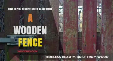 Effective Methods to Eliminate Green Algae from Your Wooden Fence