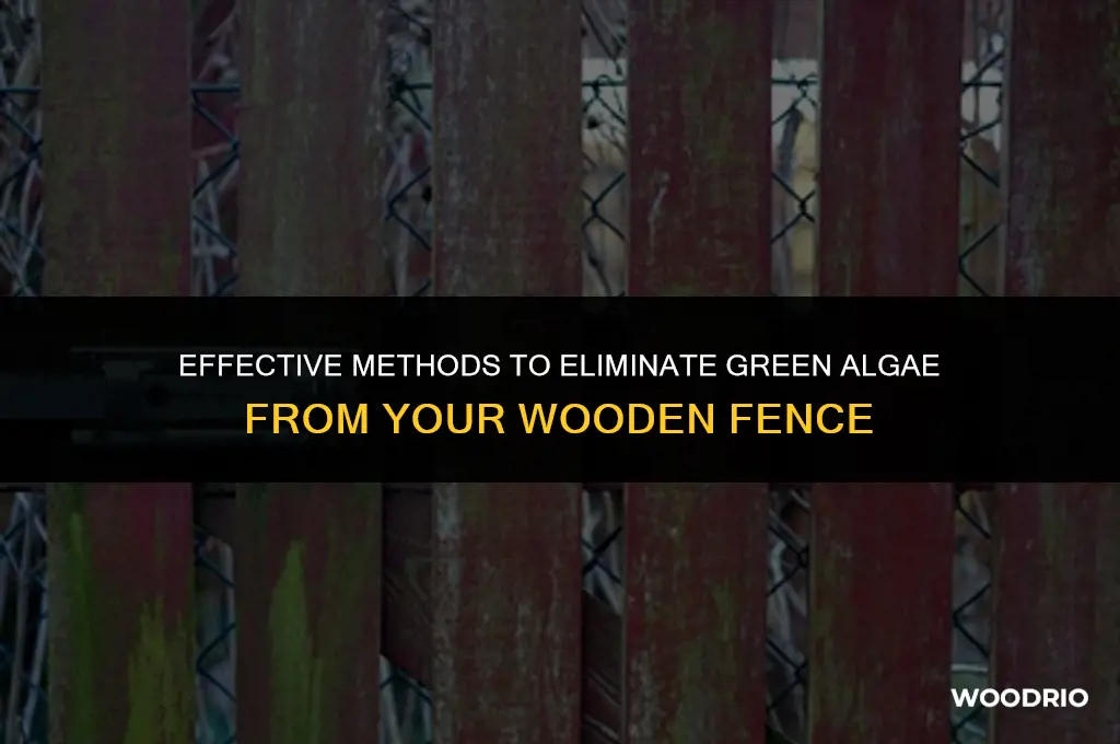 how do you remove green algae from a wooden fence
