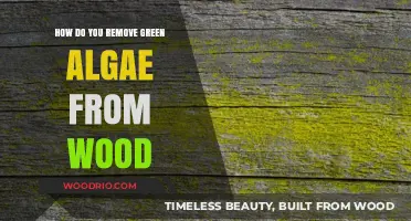 Effective Methods to Eliminate Green Algae from Wood Surfaces