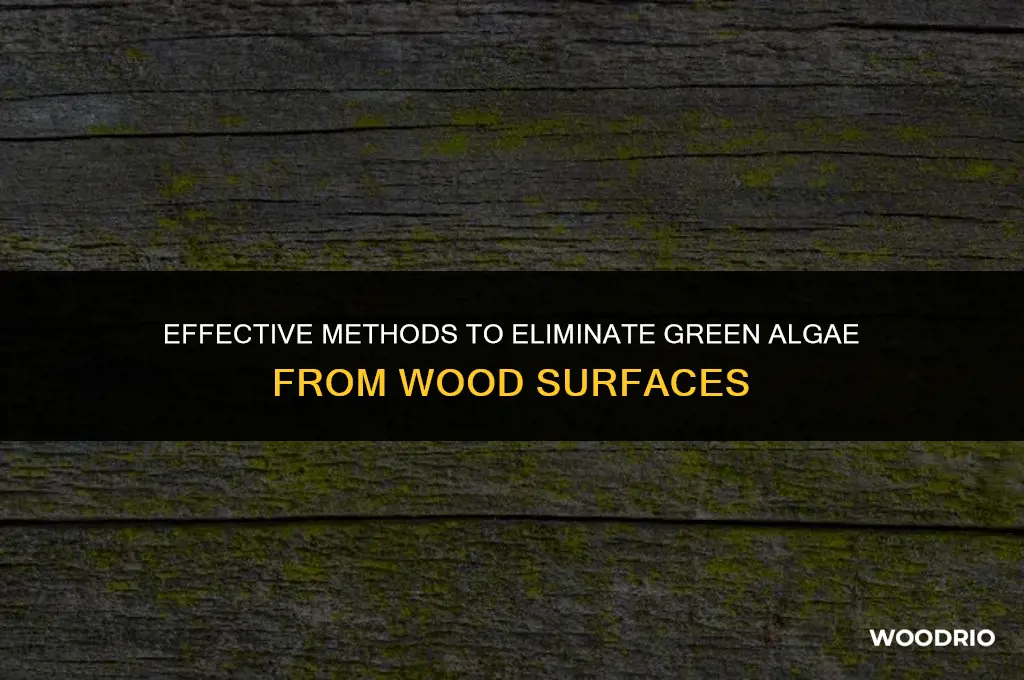 how do you remove green algae from wood