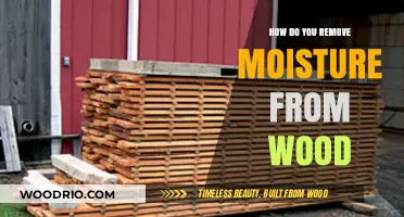 Effective Methods to Extract Moisture from Wood