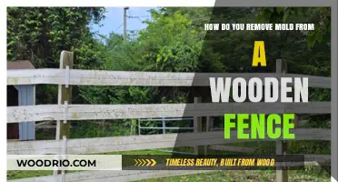 Effective Ways to Remove Mold from Your Wooden Fence