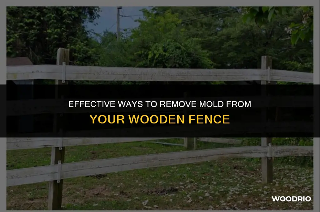 how do you remove mold from a wooden fence