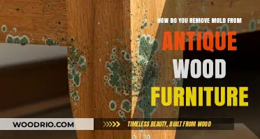 Restoring Elegance: A Guide to Mold Removal from Antique Wood Furniture