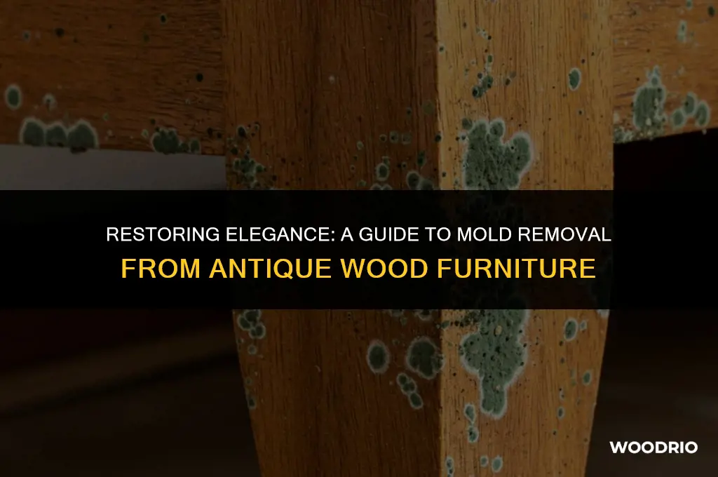 how do you remove mold from antique wood furniture