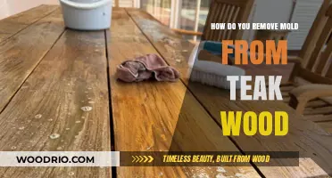 Effective Methods to Eliminate Mold from Teak Wood Surfaces