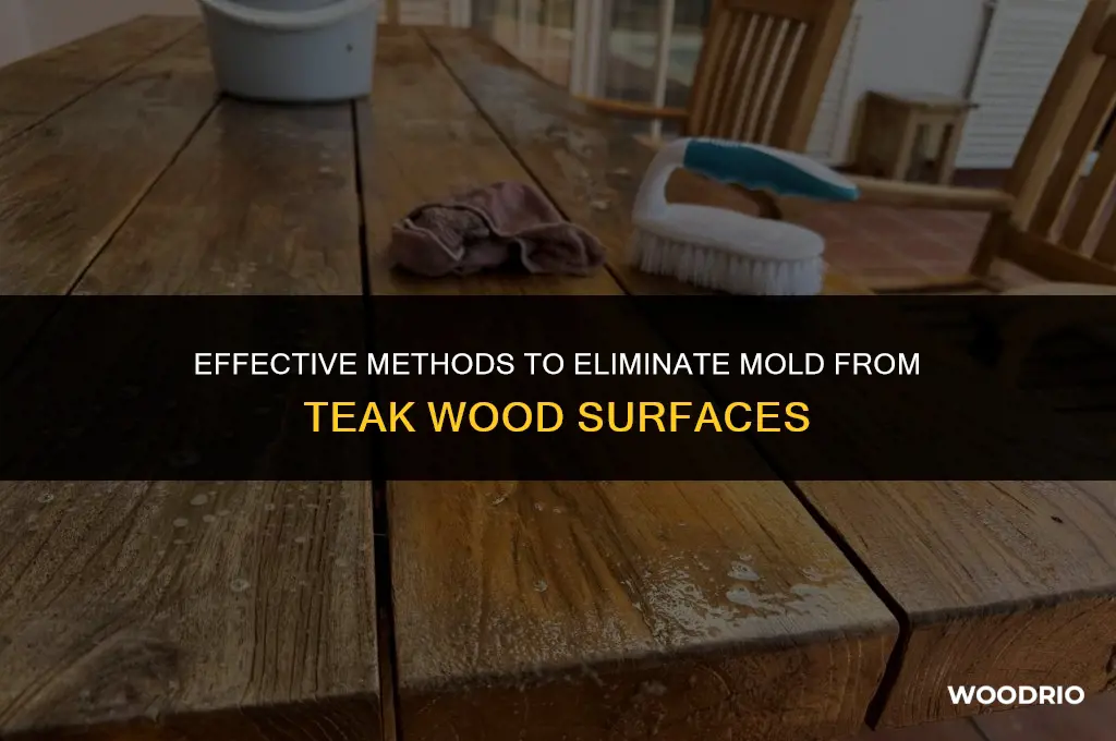 how do you remove mold from teak wood