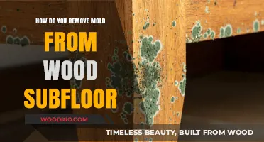 Effective Methods to Eliminate Mold from Wood Subfloors