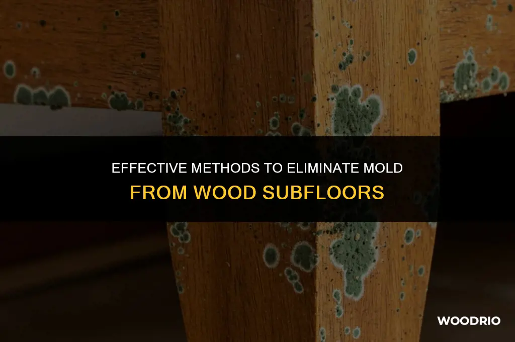 how do you remove mold from wood subfloor