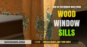 Effective Ways to Remove Mold from Wood Window Sills