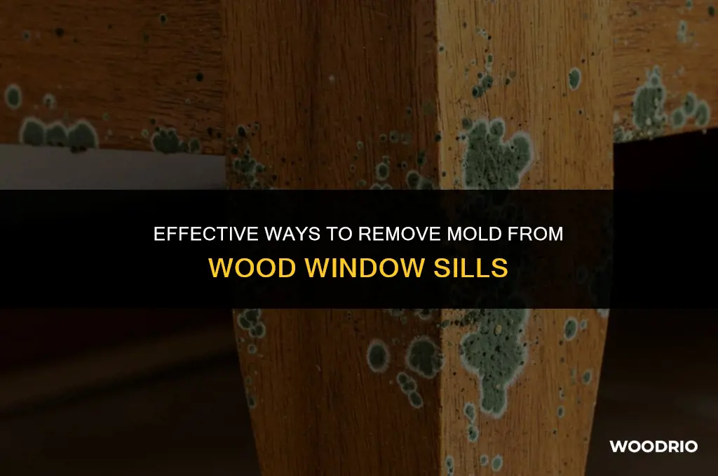 how do you remove mold from wood window sills