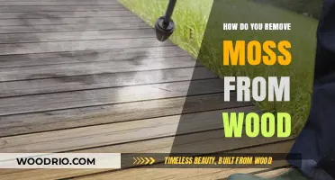 Effective Ways to Remove Moss from Wood Surfaces