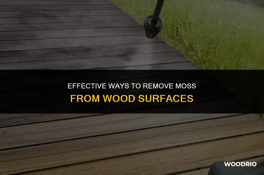 how do you remove moss from wood