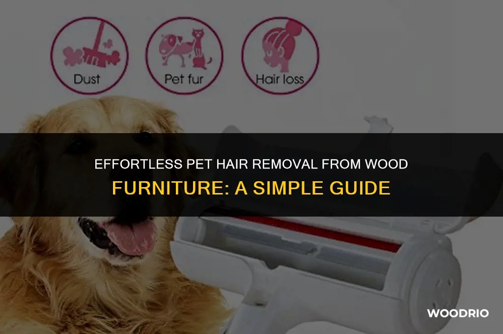 how do you remove pet hair stuck to wood furnisher