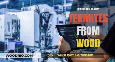Termite-Free Timber: Effective Methods to Eliminate Wood-Eating Pests