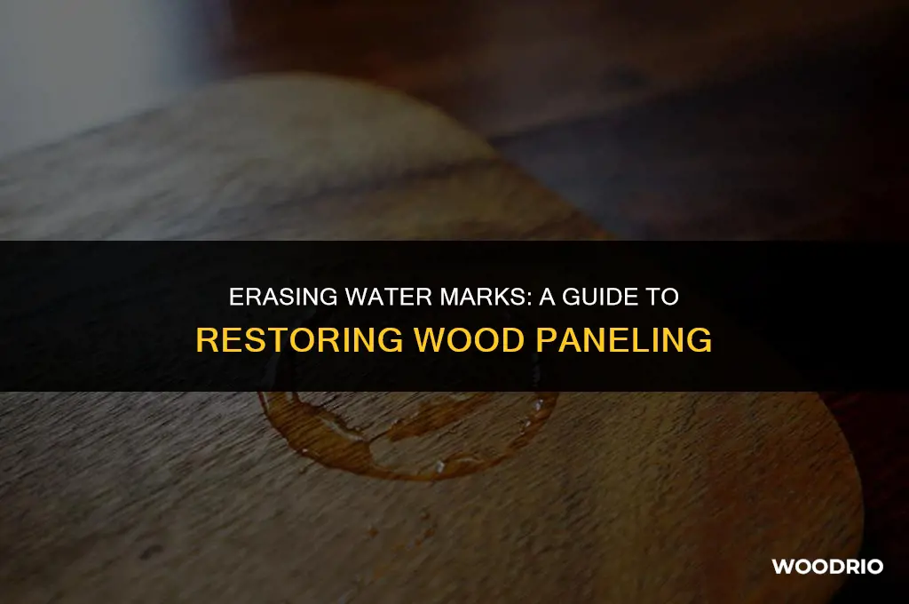 how do you remove water stains from wood paneling