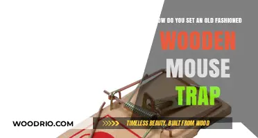 Mastering the Art of Setting an Old-Fashioned Wooden Mouse Trap