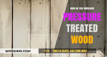 Unveiling the Secrets: Sherlock's Guide to Pressure Treated Wood