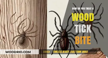 Effective Treatments for Wood Tick Bites: A Comprehensive Guide